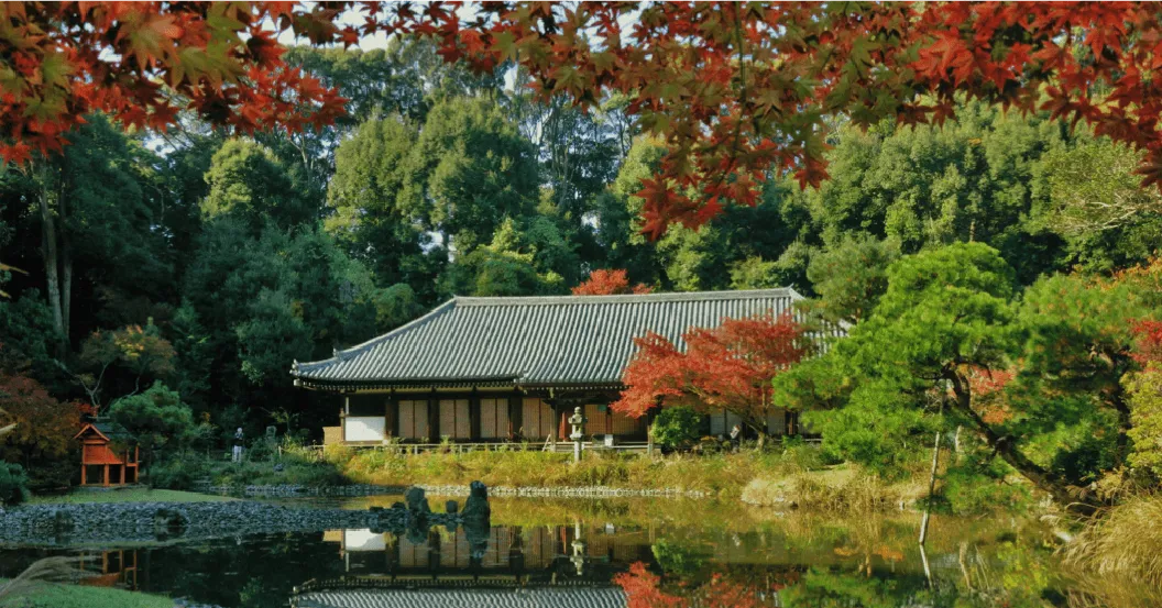 歴史的な寺院の数々